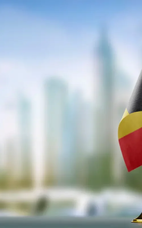 Taxes for expats in belgium