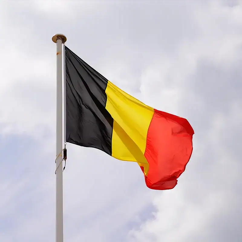 Applying for Secondary Belgian Citizenship: The Pros, Cons and Complications of Obtaining a Belgian Passport 1 Applying for secondary belgian citizenship