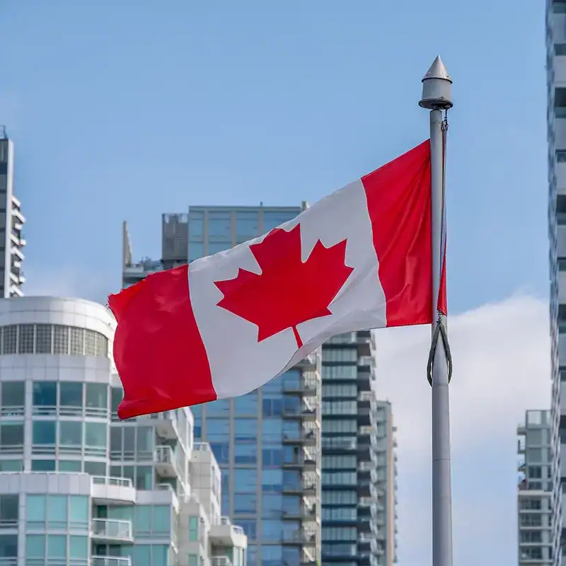 Navigating the canadian tax system