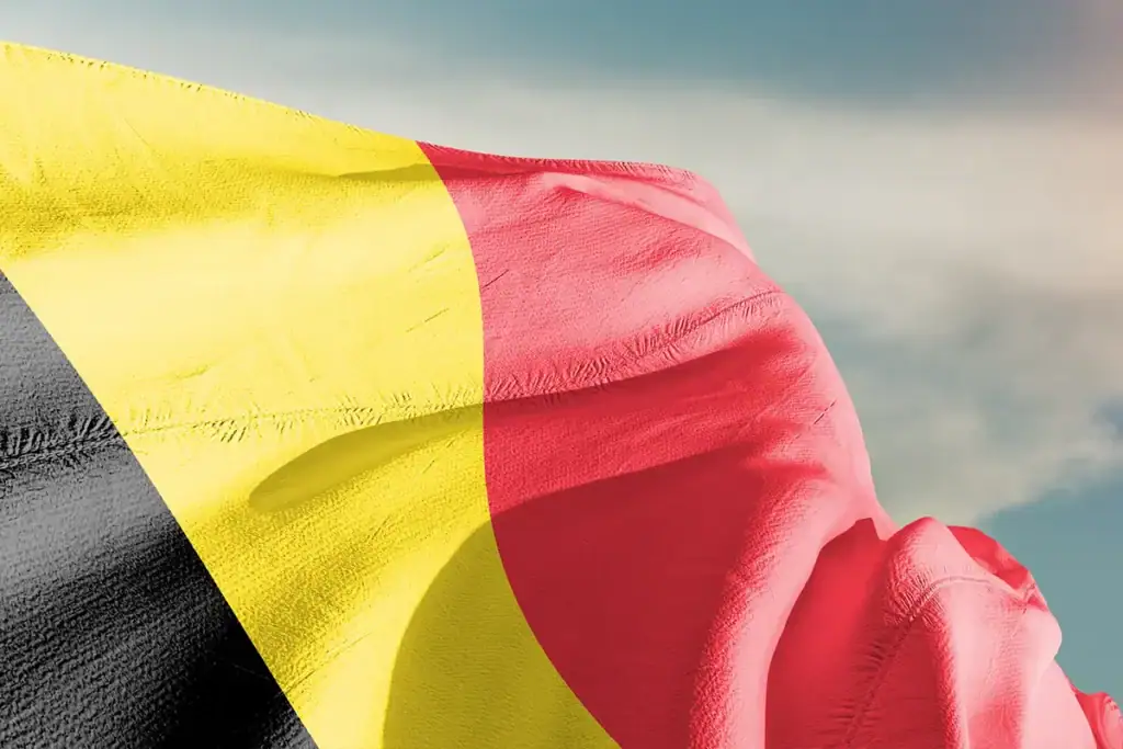 Belgian Taxes for Expatriates Following Revisions to the Special Tax Regime 3 Belgian taxes