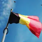 Belgium tax treaties - expat faqs