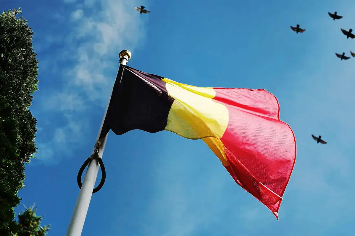 Belgium Tax Treaties - Expat FAQs