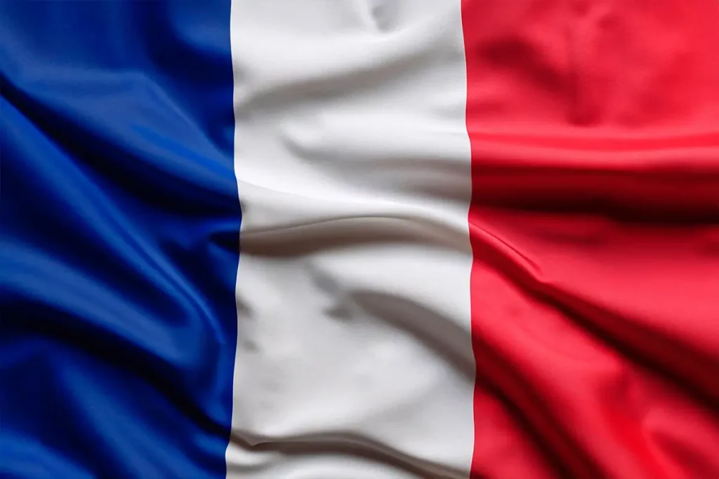 Expat tax treaties in france