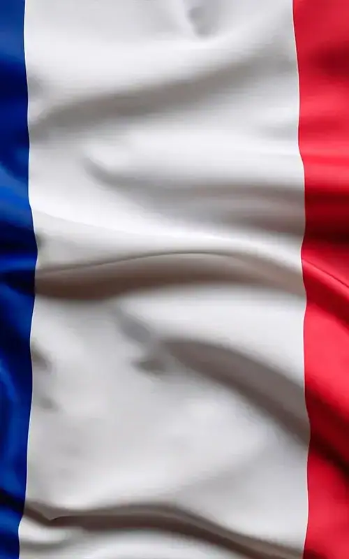 Expat tax treaties in france