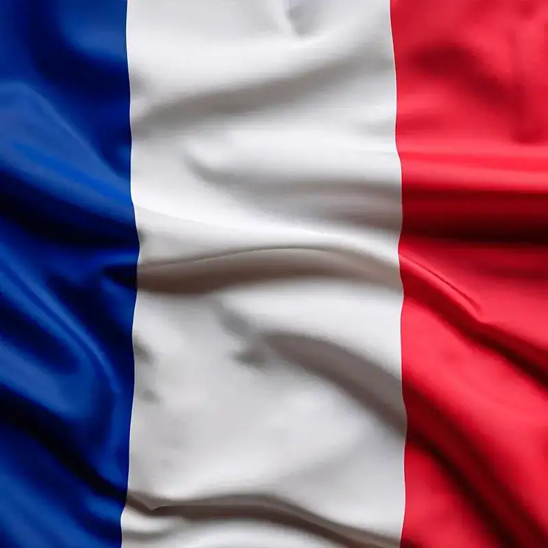 Expat tax treaties in france
