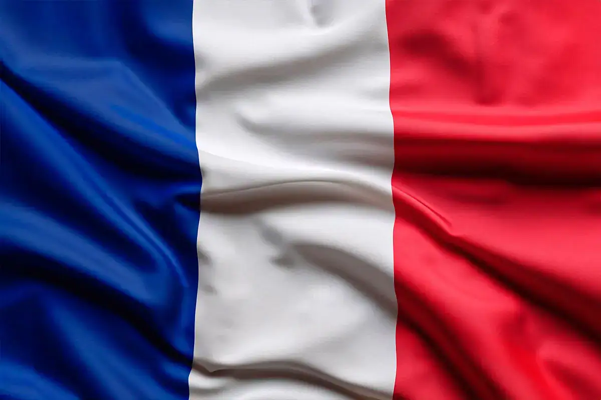 Expat Tax Treaties in France