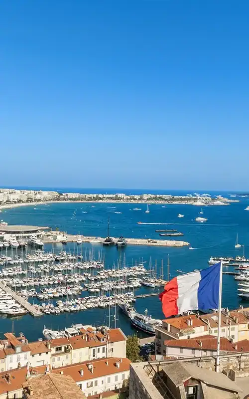 Managing investments and savings as a british expat in france