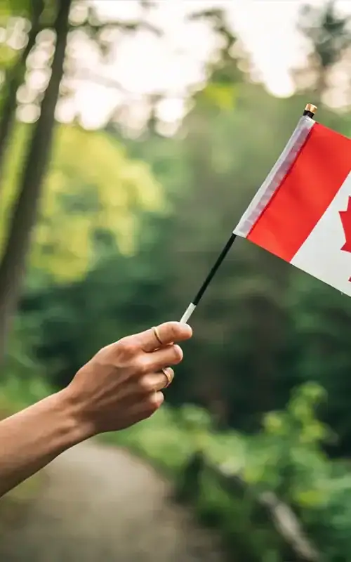 Tax treaties for expats in canada