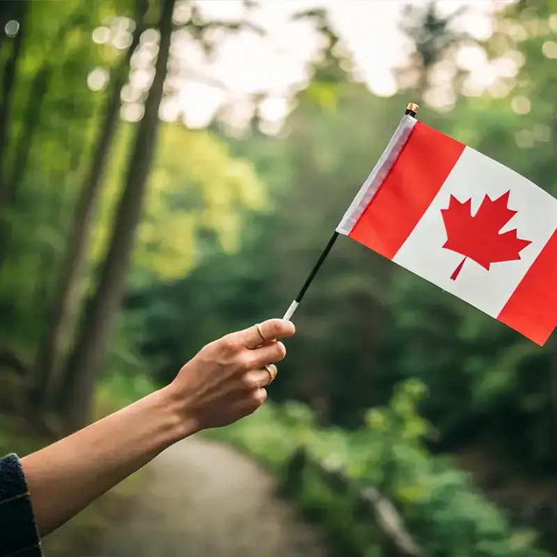 Tax treaties for expats in canada